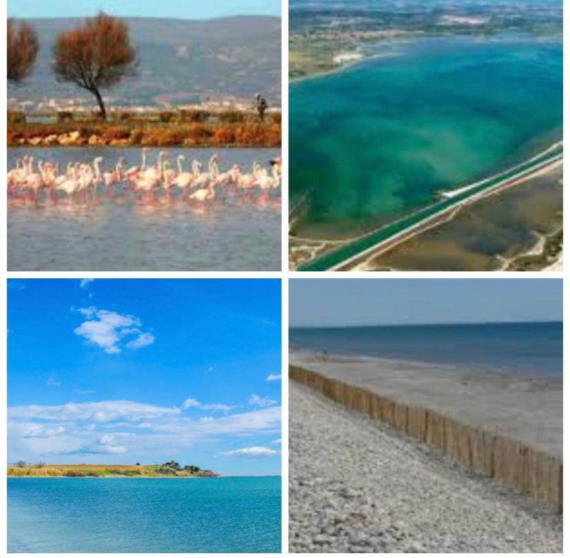 Camping L'Europe Otel Vic-la-Gardiole Dış mekan fotoğraf